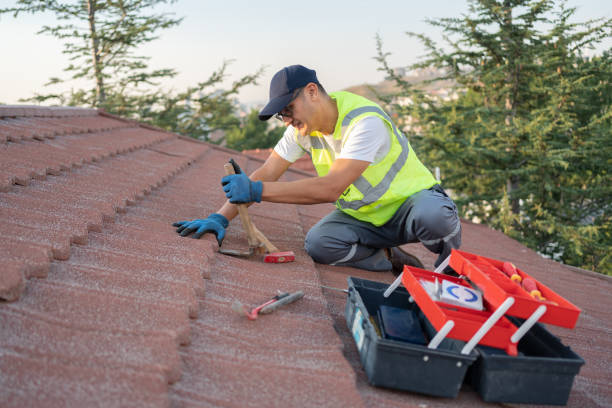 Best Storm Damage Roof Repair  in Annapolis Neck, MD