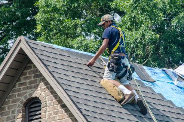 Quick and Trustworthy Emergency Roof Repair Services in Annapolis Neck, MD